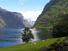 Nordeuropa, Norwegen: Norwegen i hytta - Die grne Landschaft Norwegens 